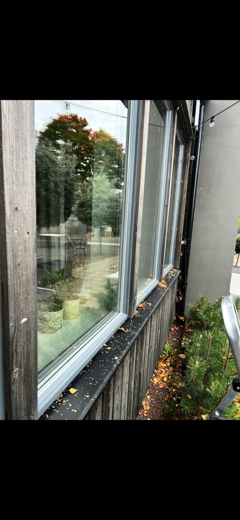 Skyltfönster i mörk träfasad med löv på fönsterbläcket